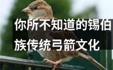 揭秘锡伯族传统弓箭文化:过去与现在的文化意义、技艺精髓及传承现状大揭秘!