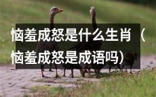哪些生肖容易表现出恼羞成怒的情绪,是否可以将恼羞成怒视为一种成语?
