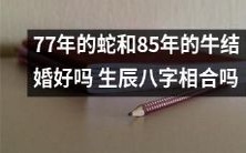 考虑到长标题不一定能提供更好的搜索结果和阅读体验,我将优化问题并重新编写了一个标题:结合生辰八字,77年的蛇和85年的牛是否适合结婚?