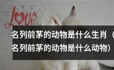 哪些是名列前茅的生肖动物?