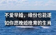 不赞同早婚的生肖,相信缘份会满足晚婚晚育的心愿