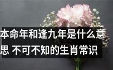 探寻本命年和逢九年:弥足珍贵的生肖常识值得你了解