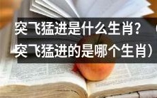 哪个生肖具有“突飞猛进”的特质?