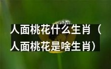 人面桃花是哪个生肖,它有什么含义和象征意义?