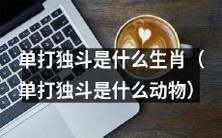 哪些生肖能够属于单打独斗的动物群体?