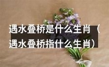 能在水面上叠桥的生肖是什么?