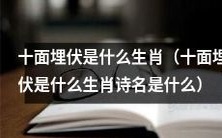 关于十面埋伏,在中国传统文化中对应的生肖以及它所对应的古代诗歌名称是什么?
