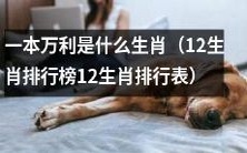 十二生肖排行榜:哪个生肖是赢家?一本万利生肖榜单!