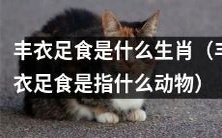 什么生肖象征着丰衣足食?