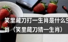「曲径通幽藏刀兮,笑容如花是何生肖?」——谜一般的生肖猜谜题