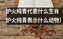 炉火纯青是哪个生肖所代表的动物象征?