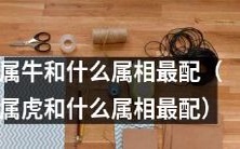 哪些属相是与属牛最为匹配的?