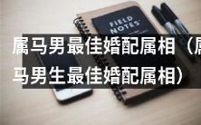 属马男生的最佳婚配属相:探究属马男最匹配哪个属相结婚