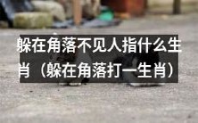 躲在角落不露面与哪个生肖相关?