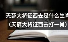 关于天薛大将征西去,我们能据此推断出他属于哪个生肖