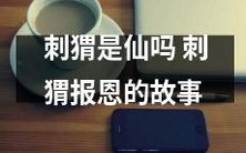 刺猬是否拥有神秘力量?探究一则关于刺猬的报恩故事