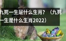 2022年十二生肖中,九死一生指的是哪个生肖?