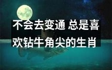 生肖中总是坚持固定思维模式、不懂得变通、喜欢小题大做、钻牛角尖的表现