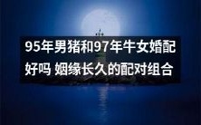 探讨95年男猪和97年牛女的婚姻配对是否合适,探寻姻缘长久的最佳组合搭配