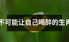 12 生肖中不存在一种会让自己喝醉的情况——探究生肖饮酒文化的特点和历史背景