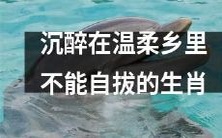 沉浸在甜蜜温柔之中,难以自拔的十二生肖