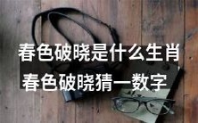 春色破晓是哪个生肖?用数字猜测一下吧!