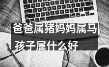 如果爸爸是猪而妈妈是马,那么孩子属于哪个属相比较好呢?
