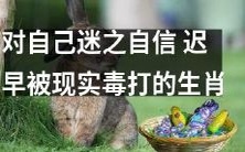 如何摆脱迷之自信并避免被现实无情地毒打:一份针对生肖的指南
