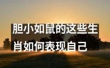 害羞如小鼠的这些十二生肖在社交场合中如何充分展现自我?