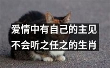 脾气倔强的生肖:对爱情有自己的看法,不随意听从他人建议