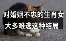 生肖女持续不忠婚姻的悲哀结局,大部分无法避免!