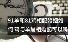 鸡与羊属相婚配:探讨91只羊和81只鸡的婚姻如何相配?