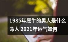 1985年出生属牛的男性的命运预测以及2021年运势如何?