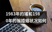 探究1983年的猪与1980年的猴之间婚姻状况的变化情况