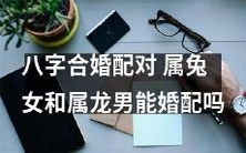 可以适配?八字合婚匹配考虑-属兔女和属龙男之间的关系可能性如何?