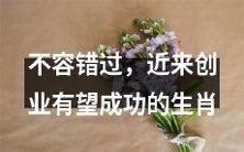 近期有望成功创业的兴旺生肖,别错过!