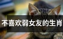 那些对于弱女友容忍度为零的星座男