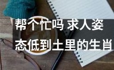 帮个忙求助:生肖人在姿态上低沉至泥土般,恳请援手