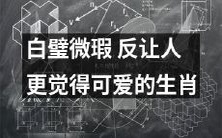 白璧微瑕:可爱之美由缺陷而生的生肖形象