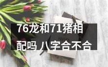 根据八字算命:76龙和71猪的命运通盘分析,其合适性究竟如何?