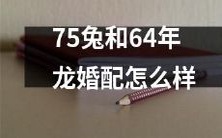 探讨75只兔和64年龙的婚配是否可行的讨论