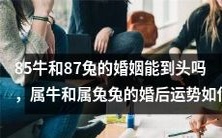 由属牛85和属兔87所组成的婚姻是否经得起考验?这对牛和兔会在婚后运势中受到怎样的影响?