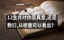 如何辨别12生肖对你的真爱程度:从哪些方面可以看出它是真心付出,而非敷衍?