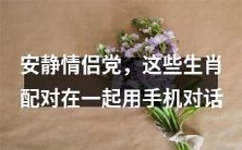 深夜静谧中的恋人,生肖匹配对话从手机上展开