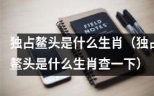请查询一下:独占鳌头的生肖是什么?