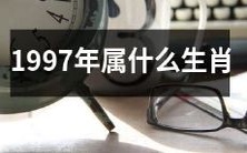 1997年出生的人是什么生肖?