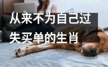 十二生肖中,永不承担过失责任的动物们