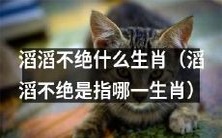哪一生肖的口才如滔滔江水?