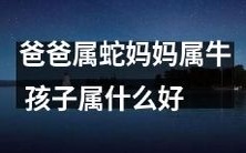 如果父亲属蛇母亲属牛,那么孩子将属于哪个生肖?