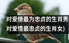 生肖中最忠贞于爱情的男性(女性)是哪些?